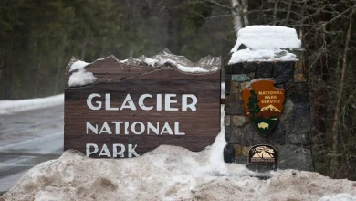 Hiker Killed by Bear at Glacier National Park, Officials Say
