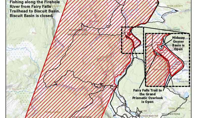 Hikers injured by bear in Yellowstone National Park
