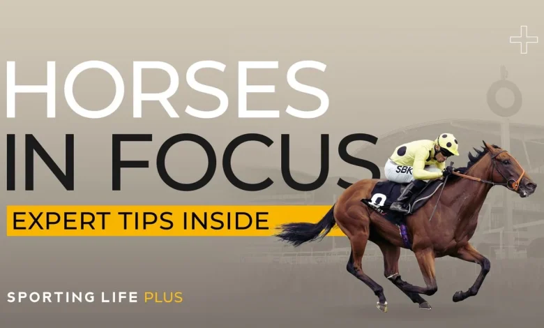 Horse In Focus tips for Saturday from eye-catchers chosen by Timeform experts