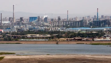 How China Could Wield Its Control of Rare Earths Against Trump