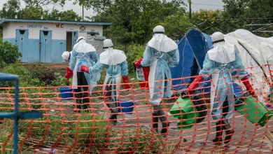 How Northeastern is helping to try and contain the Ebola outbreak