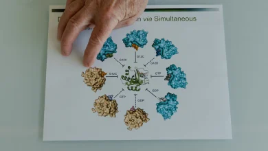 How an ‘Impossible’ Idea Led to a Pancreatic Cancer Breakthrough