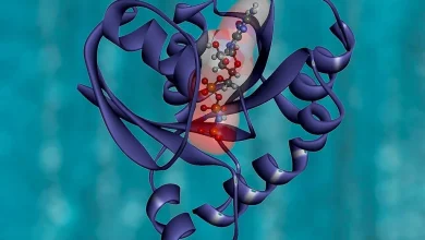 How scientists found a weakness in one of the the deadliest ‘undruggable’ cancers
