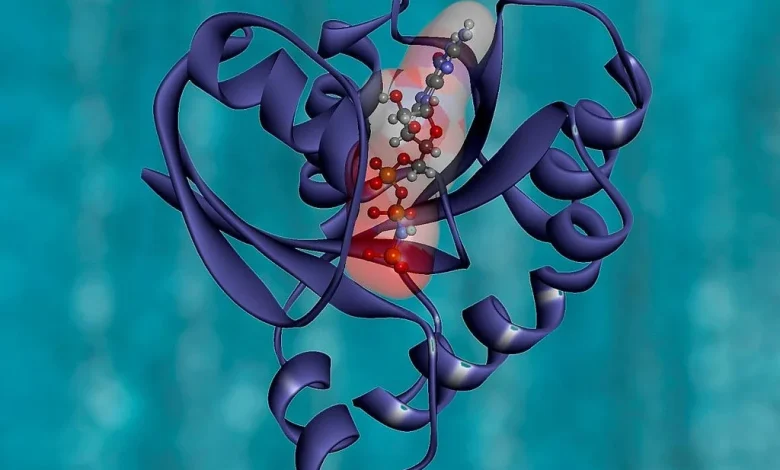 How scientists found a weakness in one of the the deadliest ‘undruggable’ cancers
