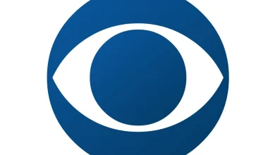 How to Watch Boston Blue Season 1, Episode 17