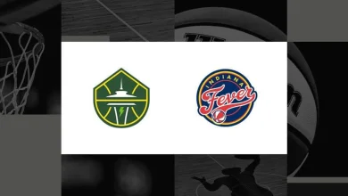 How to watch Storm vs. Fever: TV channel and streaming options for May 17