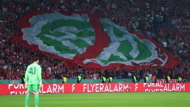 📸 Huge protest stunt: DFB-Pokal final halted for minutes