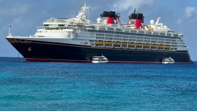 ICE agents storm Disney cruise docked in San Diego and arrest multiple staff in front of passengers