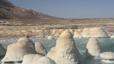 In the lowest place on Earth, a sea is rapidly dying — and no one can agree how to save it