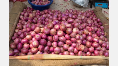 India raises onion procurement price to US$18.45 per 100kg