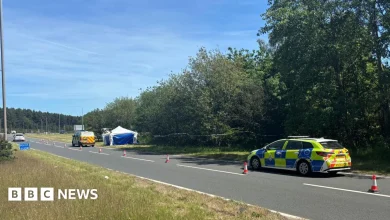 Investigation after 'skeletal remains' found by A617 Rainworth Bypass