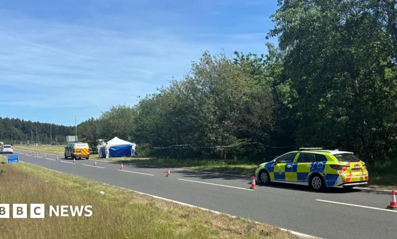 Investigation after 'skeletal remains' found by A617 Rainworth Bypass