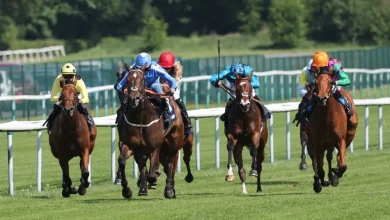 Investigations under way at Haydock after Saturday hole drama