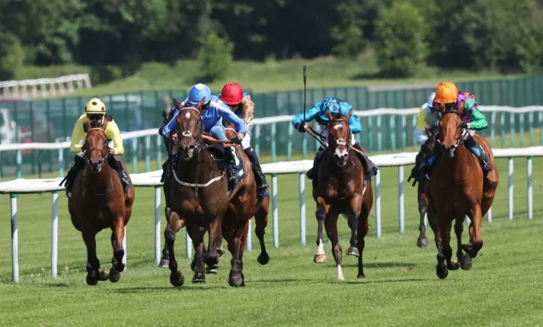 Investigations under way at Haydock after Saturday hole drama
