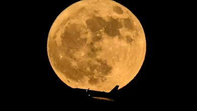 Is there a full moon tonight? What to know about 2026 May flower moon