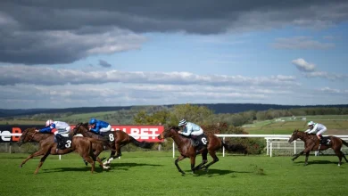 'It wasn't sufficient for us to carry on' - Goodwood's final two races abandoned due to unsafe track