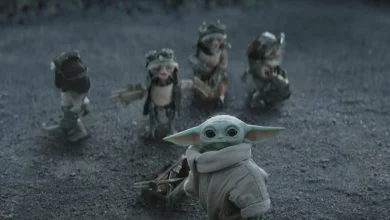 It's Too Bad 'Star Wars' Opted for Baby Yoda When 'Andor' Was Right There