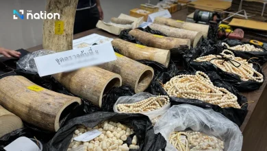 Ivory network busted — CIB seizes B10m haul in seven-province raids