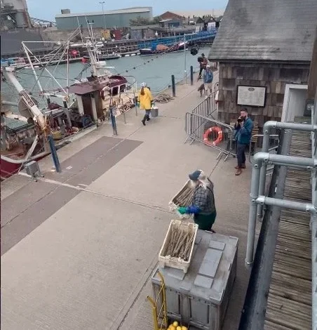 Javier Bardem in Whitstable, Kent, for new film Hello & Paris