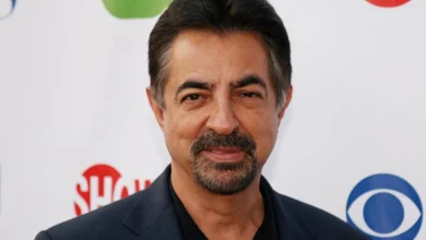 Joe Mantegna drops out of hosting National Memorial Day Concert