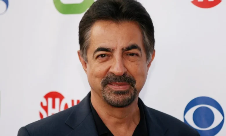 Joe Mantegna drops out of hosting National Memorial Day Concert