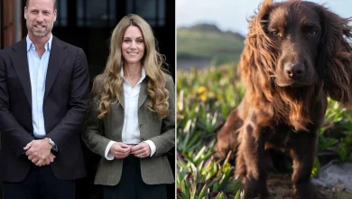 Kate Middleton and Prince William Reveal Their New Puppy's Name: 'Welcome to the Family'