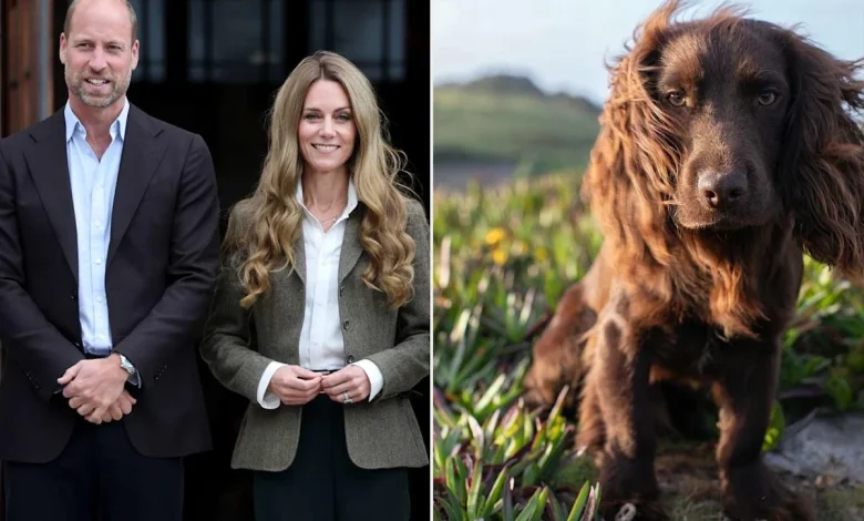 Kate Middleton and Prince William Reveal Their New Puppy's Name: 'Welcome to the Family'