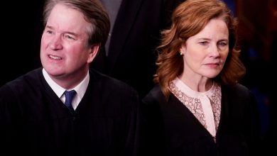 Kavanaugh and Barrett join Democratic appointees in surprise death penalty dismissal