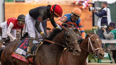Kentucky Derby winning jockeys, MLB pitcher tied to illegal cockfighting in Puerto Rico