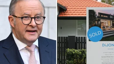 Landlords dump thousands of rentals before budget changes