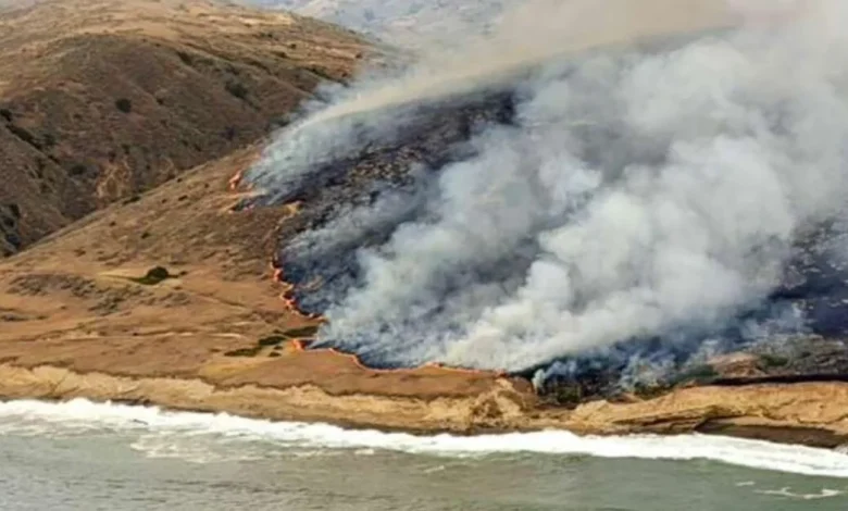 Largest fire ever recorded on Santa Rosa Island endangers 'gem of California coast'