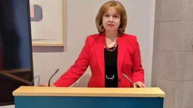 Larisa Miculeț va prelua funcția de șef interimar al Ambasadei Republicii Moldova în Irlanda