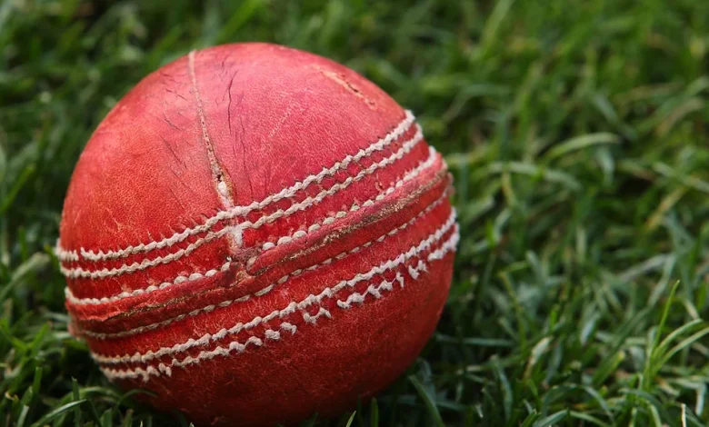 Lauren Bell Masterclass on Sky Sports Cricket HD: full details and when it's on