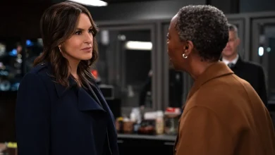 Law And Order: SVU Season 27 Finale Recap: Corey Cott On Episode 21, Monster