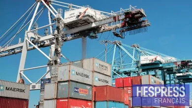 Le Maroc dans le trio de tête des plus grands marchés importateurs d’Afrique