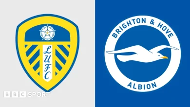 Leeds United vs Brighton & Hove Albion: Premier League preview, team news, stats & head-to-head