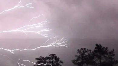 Lightning and strong winds create one-two punch, leading to thousands of outages