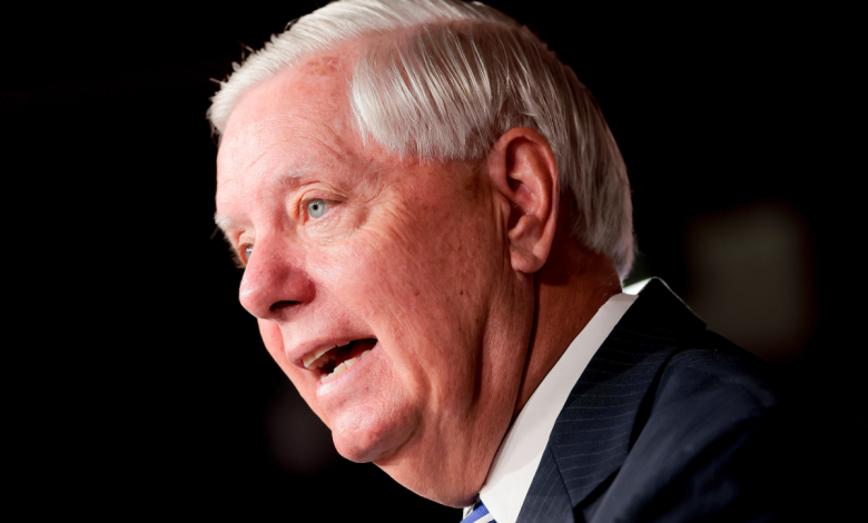 Lindsey Graham’s Chances of Winning South Carolina Senate Race: New Poll