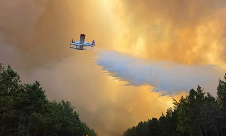Live updates: Crow Wing County's Flanders Fire burns 600+ acres