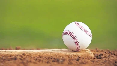 Local Roundup: Dallas baseball takes down Hazleton Area