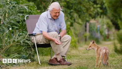 London honours David Attenborough on his 100th birthday