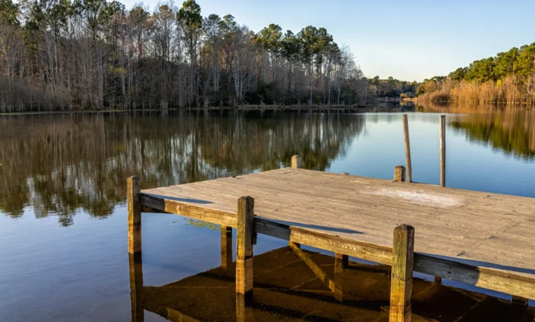 Loose umbrella fatally strikes woman at lakeside restaurant in South Carolina over Memorial Day