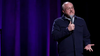 Louis C.K. Gets Standing Ovation at Netflix Comedy Festival