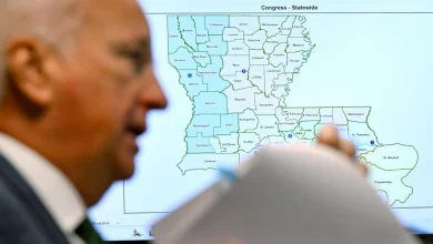 Louisiana Senate passes new congressional map | Local Politics