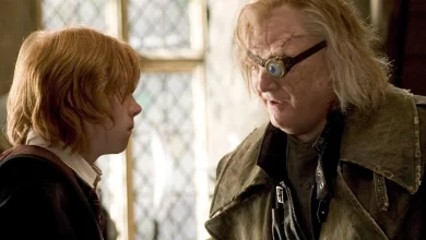 Mad-Eye Moody in HBO’s Harry Potter series? Brendan Gleeson just gave his answer