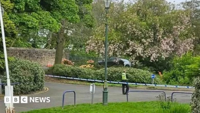 Man arrested over alleged rape at Fife park