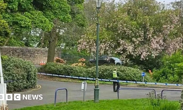Man arrested over alleged rape at Fife park