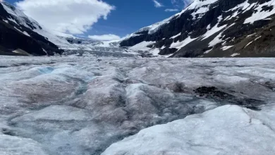 Man dies after falling into glacier crevasse in Jasper National Park