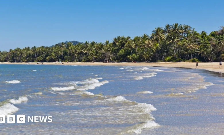 Man killed in shark attack off Australia's north-east coast