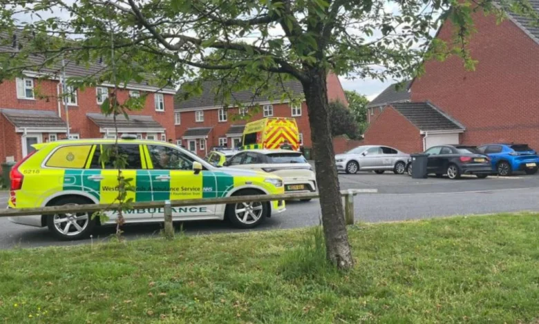 Man's death treated as 'unexplained' after emergency services rush to incident